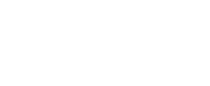 Peace Bridge Logo in all white