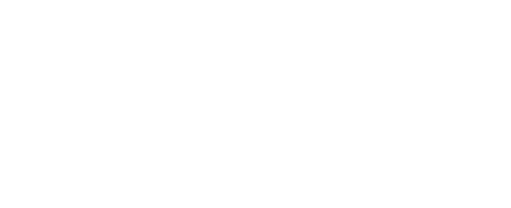 Peace Bridge Logo in all white